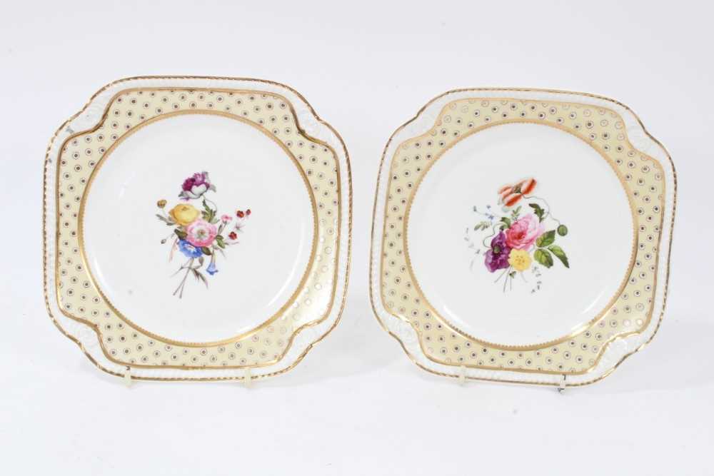 A pair of Spode yellow ground plates, circa 1825