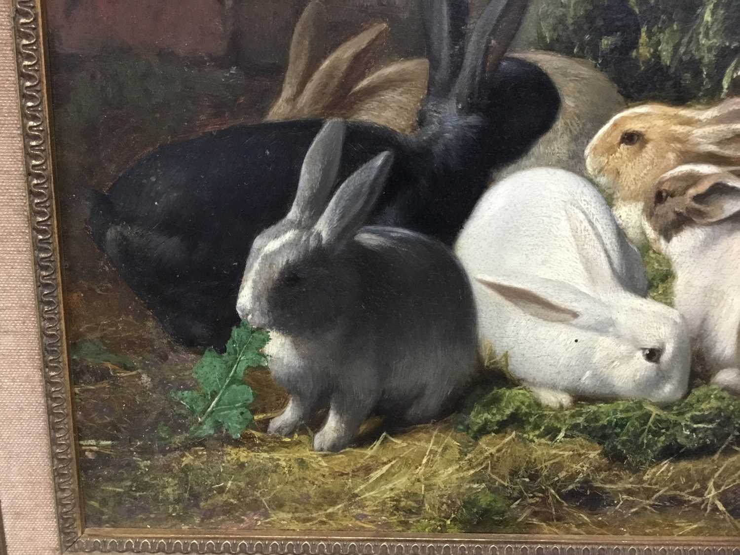 Eugene Remy Maes (1849-1931) oil on panel - Rabbits Feeding, signed adn inscribed verso, in gilt fra - Image 4 of 11