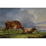 Manner of Thomas Sidney Cooper, oil on board - sheep and a cow in landscape, in gilt frame, 15.5cm x