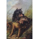 M. Walther, oil on artist board, a terrier with rabbit, signed and dated 1906, 30 x 21cm