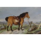 19th century, English School, oil on board - a pony