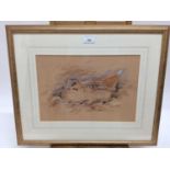 Simon T. Trinder (b.1958) watercolour - A Woodcock, signed, in glazed gilt frame, 24.5cm x 35.5cm, f