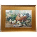 19th century English School watercolour study- chicken with her chicks, in glazed gilt frame, 38cm x