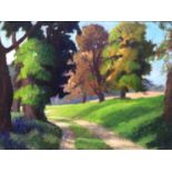 David Britton, contemporary, oil on board - Path Through Grass and Trees, Suffolk, signed and framed
