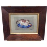 Original handpainted needlework design of a cat