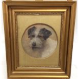 English School watercolour study- the head of a terrier, monogrammed and dated 1903, within circular