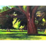 David Britton, contemporary, oil on board - Cyprus Tree, signed, framed, 40cm x 66cm