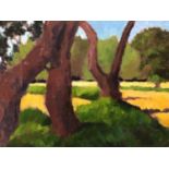 David Britton, contemporary, oil on canvas - Near Steverton Thicks, Suffolk, signed, framed, 45cm x