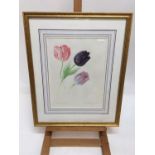 Valentine Lawford, two 20th century watercolours - still life of tulips and an apple, signed and tit