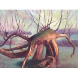 David Britton, contemporary, oil on board - Fallen Willow, signed and framed