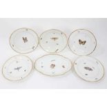 Unusual Derby plate, c.1815, painted with insects, along with four similar Paris porcelain plates an