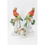 Pair of Dresden porcelain parrots