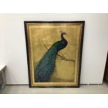 Good decorative large picture of a peacock