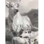 Victorian Landseer engraving - Wild Cattle at Chillingham, in glazed gilt frame