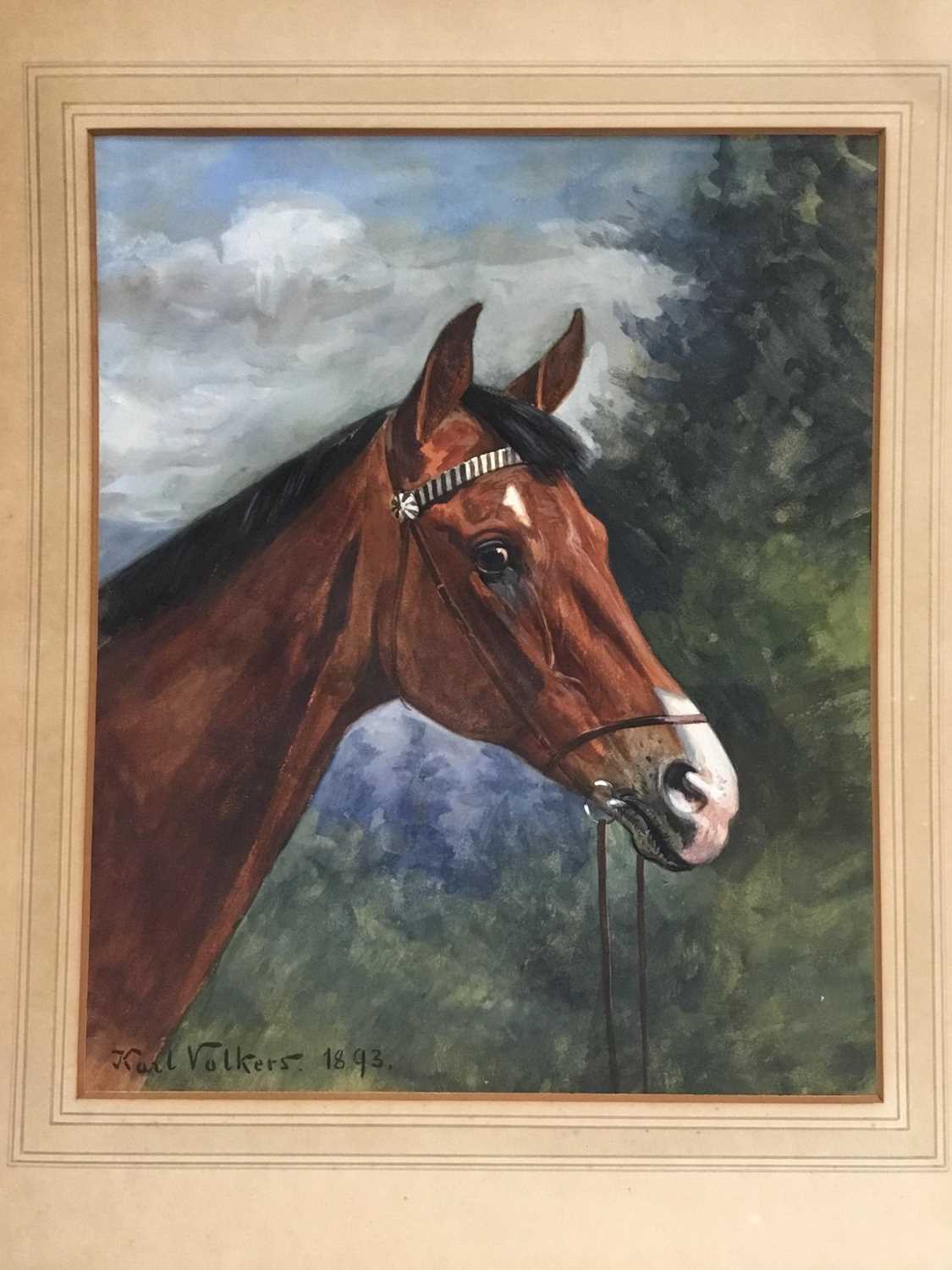 Karl Volkers (1868-1944), Gouache of horse, signed and dated 1893