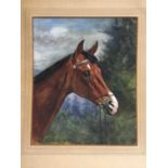 Karl Volkers (1868-1944), Gouache of horse, signed and dated 1893