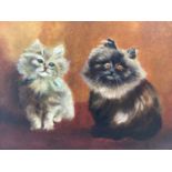 Early 20th century English School oil on canvas - two cats, in gilt frame