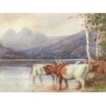 English School, 19th century, watercolour - cattle at a lochside, 23cm x 33cm, in glazed frame