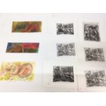 Annelise Firth (b.1961) folio of monoprints and etchings- cat studies