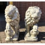 Pair of concrete lions
