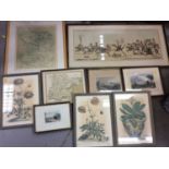 Group of 19th century prints, botanical watercolours and bookplates