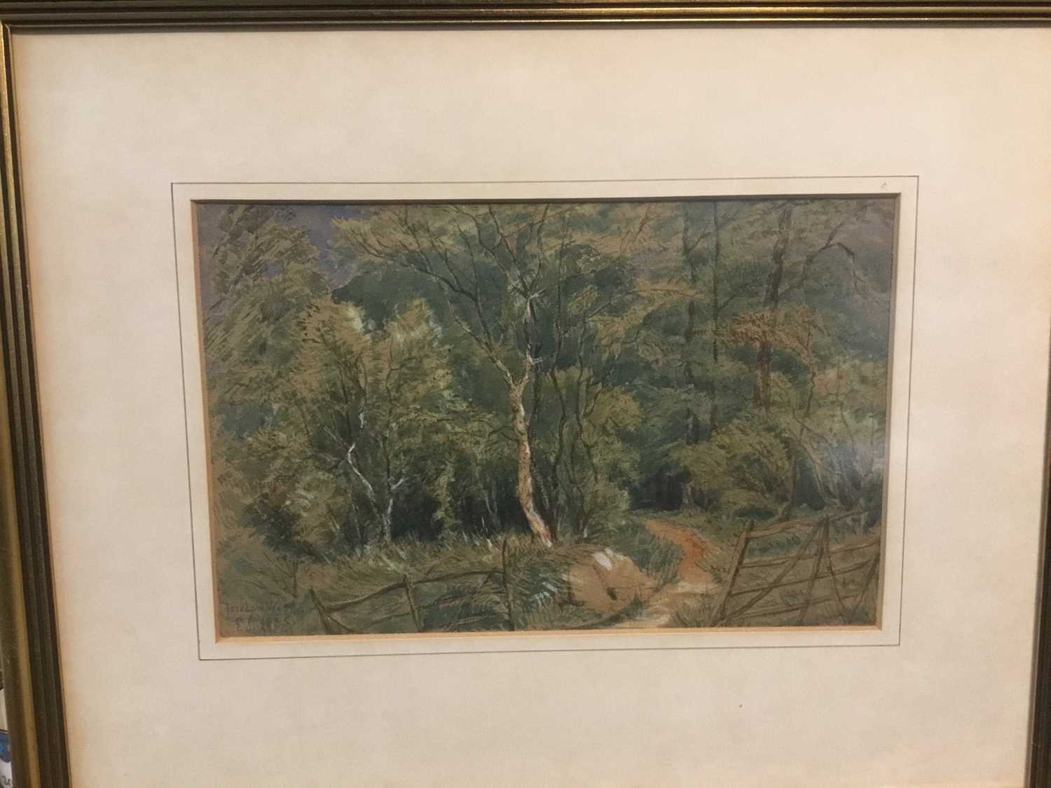 Mid 19th century watercolour in glazed frame- 'Fordham Wood' signed with initials and dated 1855, 16