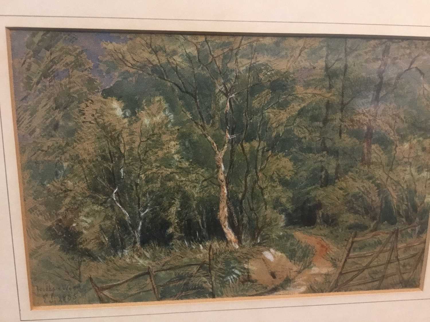 Mid 19th century watercolour in glazed frame- 'Fordham Wood' signed with initials and dated 1855, 16 - Image 2 of 5