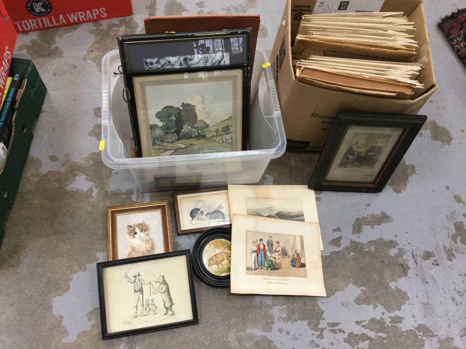 Two boxes of assorted prints and pictures (qty)