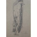 Group of five early/mid 20th century English School pencil life drawings depicting a male nude, fram