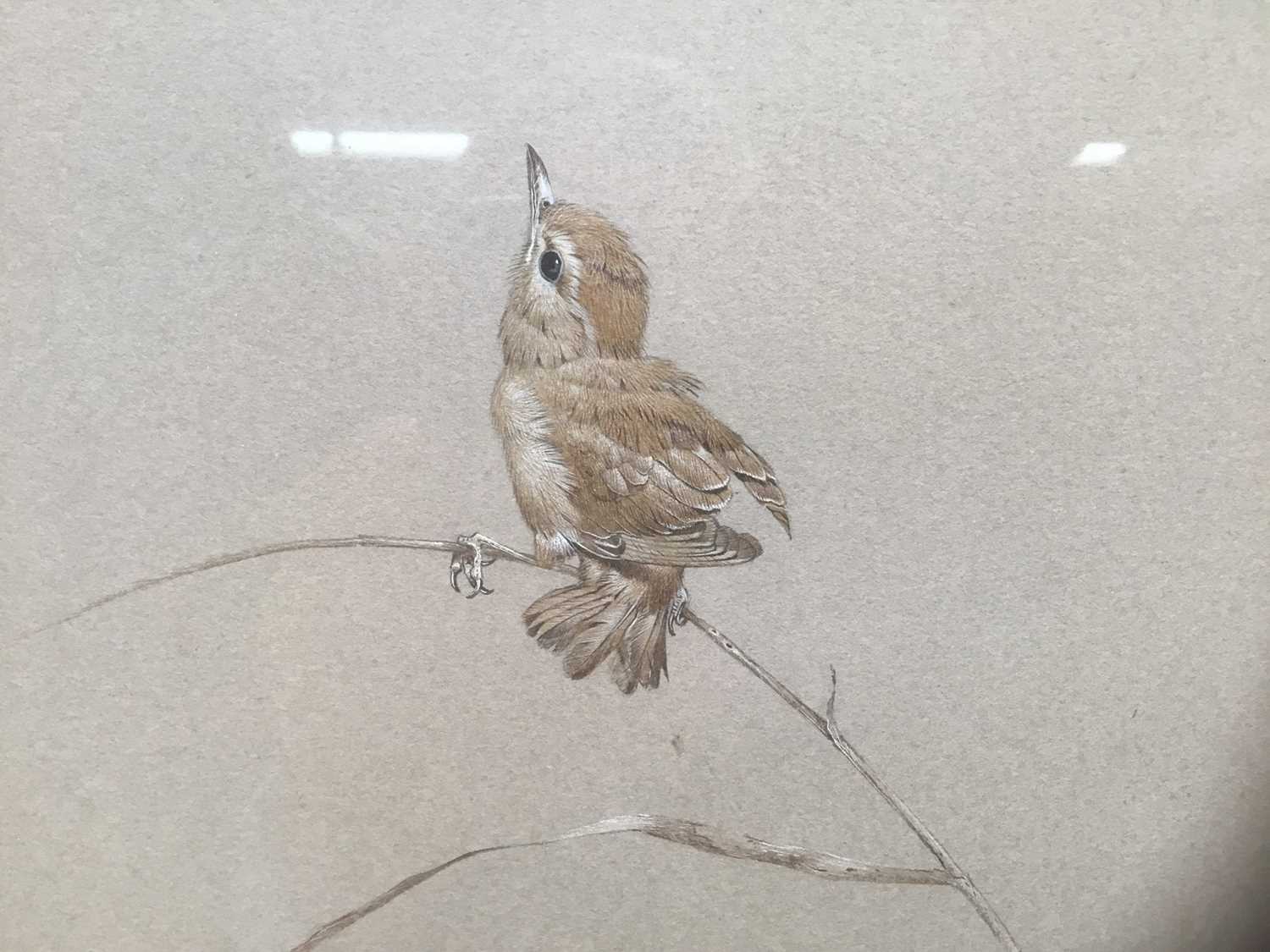 Morris J Pedger (b. 1955) watercolour - Sparrow - Image 2 of 6