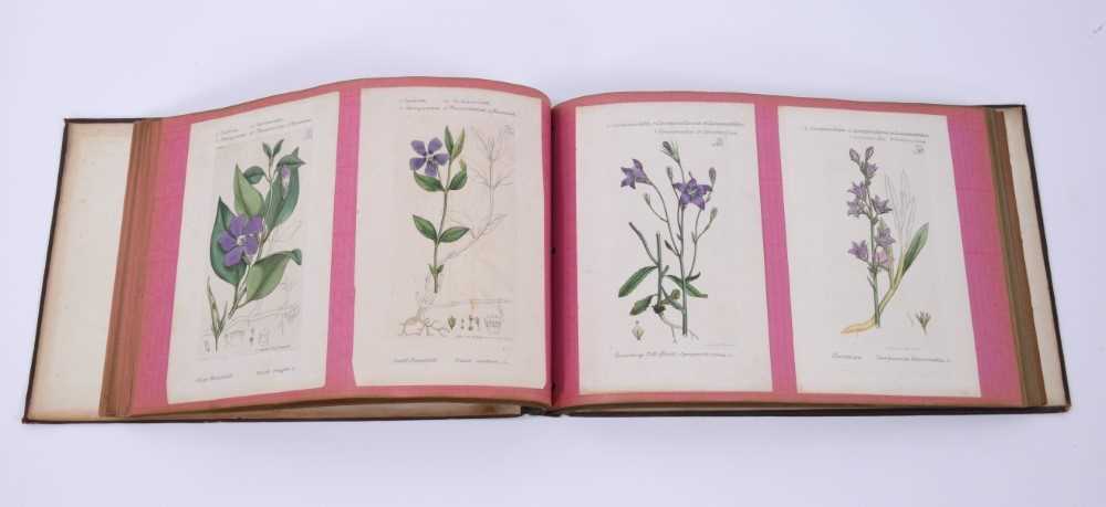 Victor Skellern (1909 - 1966) two bound Wedgwood scrapbooks - Image 3 of 9