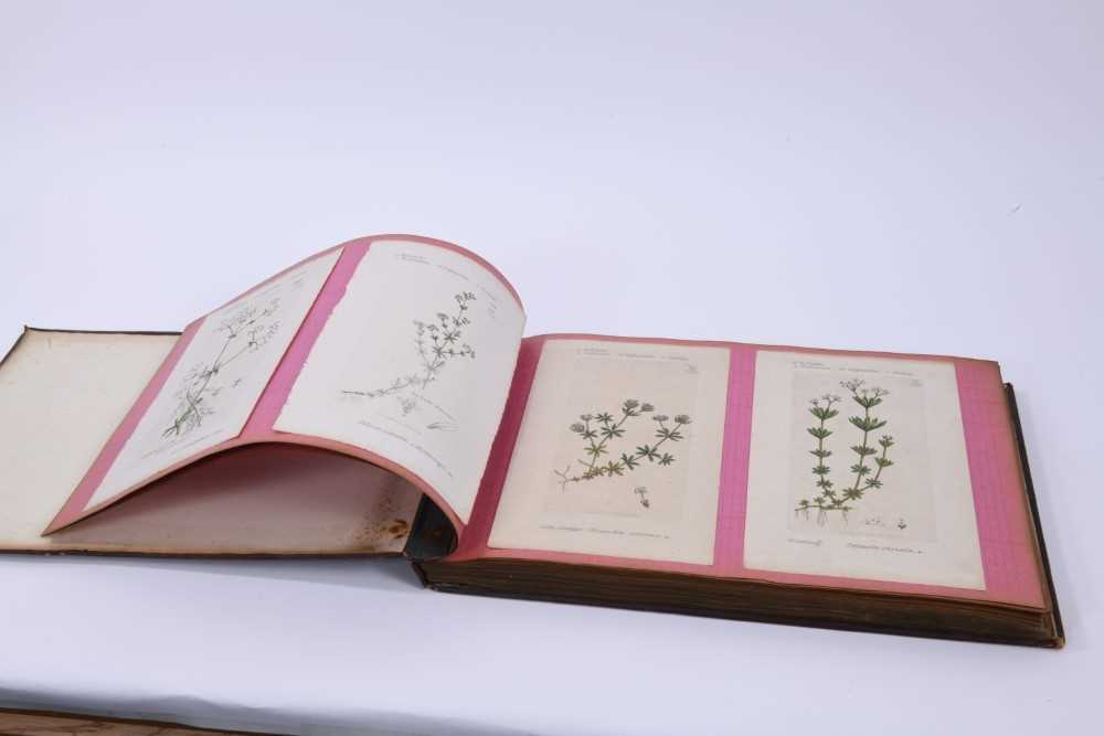 Victor Skellern (1909 - 1966) two bound Wedgwood scrapbooks - Image 7 of 9