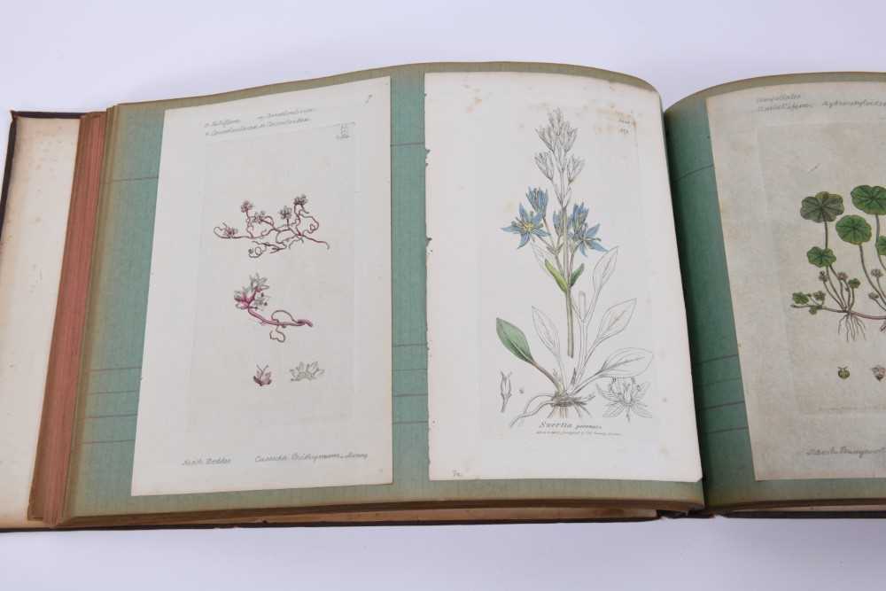 Victor Skellern (1909 - 1966) two bound Wedgwood scrapbooks - Image 5 of 9