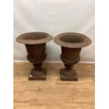 Pair of antique campana form cast iron garden urns