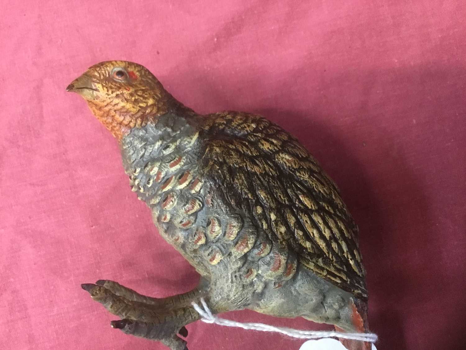 Good quality late 19th. / early 20th century cold painted bronze model of an English Partridge - Image 7 of 7