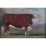 J. Box, 20th century, oil on canvas laid on board - a prize bull, signed, 29cm x 37.5cm, in gilt fra