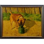 Hans Mathys (1882-1944) oil on canvas - a Bull Mastiff 'Fritz' playing with a tin can, signed, 59cm