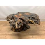 Characterful Irish bog oak rustic coffee table