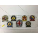 Collection of seven 1960s Vespa Club rally badges mounted on a Perspex screen.
