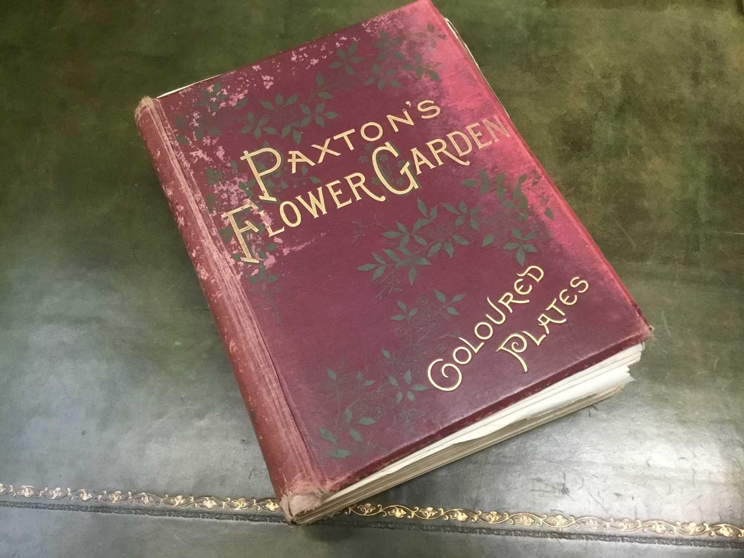 Sir Joseph Paxton - Flower Garden, Vol 1,Cassell, Petter, Galpin & Co. 1882, extensively illustrated