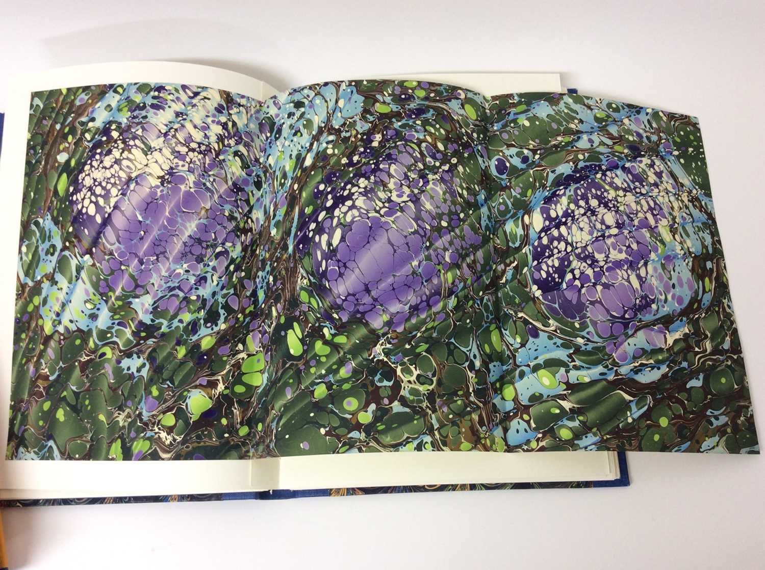 Ann Muir - Harvesting Colour, Incline press 1999, no. 89 of 225 signed copies, slip case - Image 8 of 14