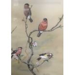 Reg Snook (contemporary), two watercolours, bird subjects, together with two similar by Peter Holmes
