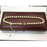 Antique cultured pearl necklace with 9ct gold clasp in red leather box