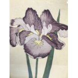 Set of six 19th century Japanese woodblocks depicting Irises, five inscribed in pencil, 37cm x 25.5c