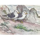 Peter Partington (b. 1941) pencil and watercolour - two gulls on the coast, signed, 20cm x 28cm, in