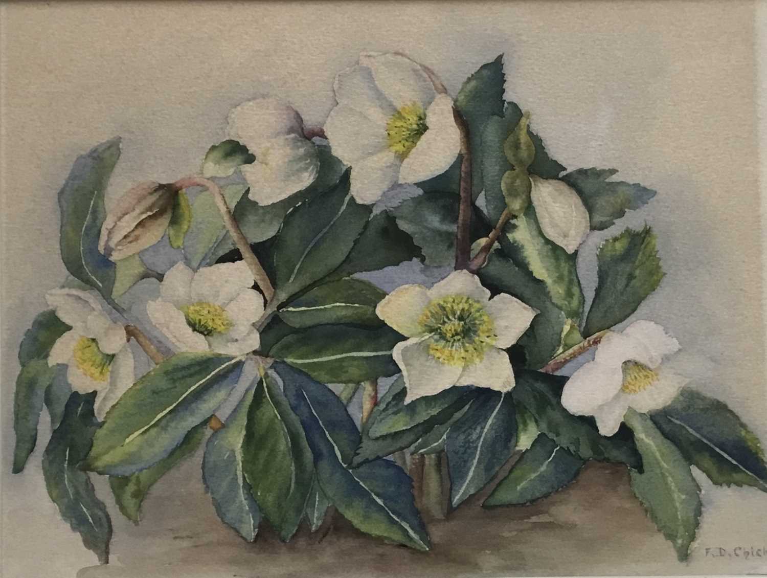 Evangeline Dickson (1922-1992) watercolour - flowers, together with another watercolour of flowers - Image 5 of 11