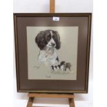 Judith Stowell, pastel portrait of a spaniel named Rose, signed and dated 1981, 34cm x 32cm, in glaz