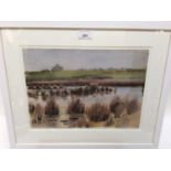 Peter Partington (b.1941) watercolour - Marsh View, signed, 25cm x 35cm, in glazed frame