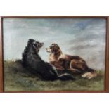 S. Frost, 19th century, oil on canvas, two collie dogs, signed, in maple frame. 27 x 37cm.