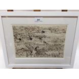 Peter Partington (b.1941) signed etching - Mallards, 20cm x 28cm, in glazed frame